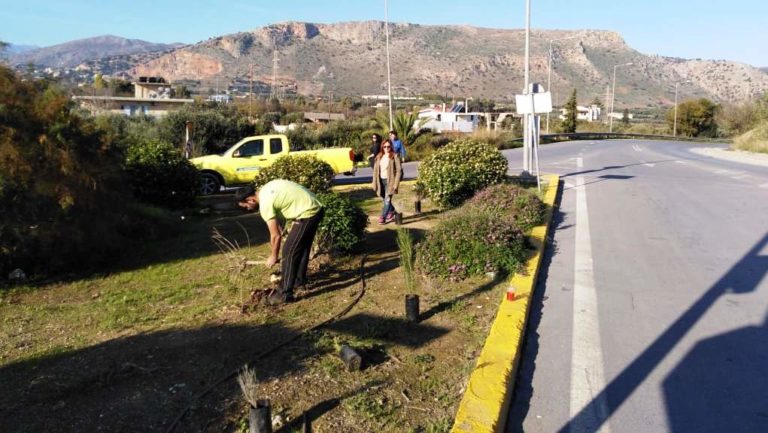 Φυτεύσεις σε κόμβους του Γαζίου