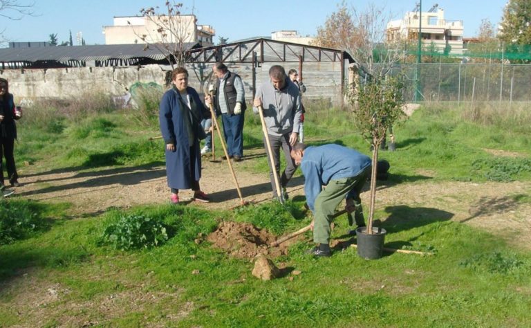 Παρέμβαση με δενδροφύτευση και καθαρισμό στη Ριζούπολη