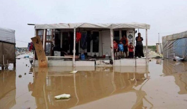 H συνομοσπονδία των Ρομά για το δάγκωμα παιδιού από ποντίκια