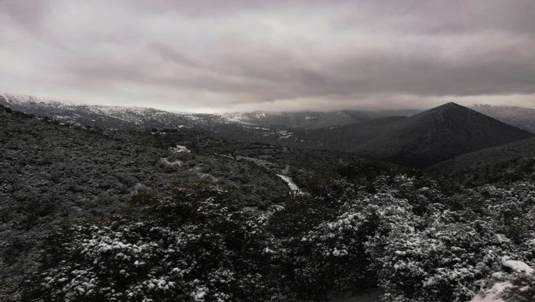 Υπό το μηδέν θερμοκρασίες στη Δ. Μακεδονία- Νέα πτώση την Τετάρτη (video)