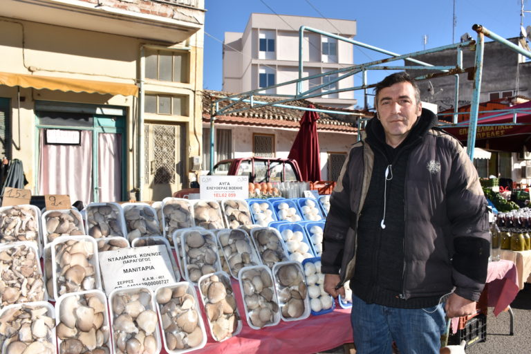 Κομοτηνή: Ένας μανιταρο-παραγωγός  με όνειρα και όρεξη για δουλειά