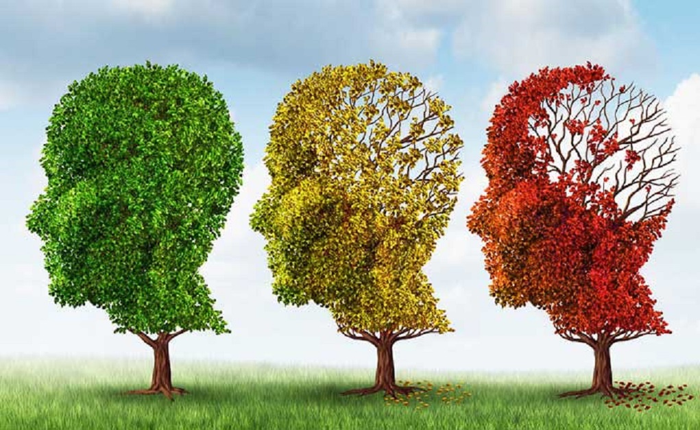 Ελληνικό Σχέδιο Δράσης για την άνοια και τη νόσο Alzheimer με επτά άξονες 