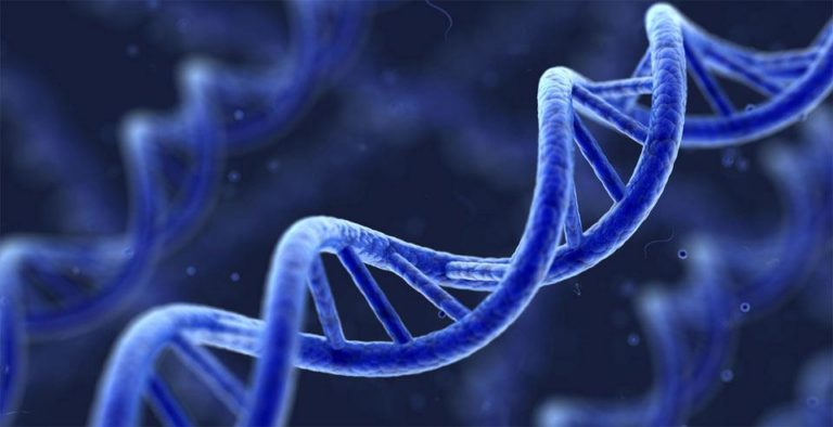 Νέα ανακάλυψη από ερευνητές του ΙΤΕ:  Η φθορά στο DNA επηρεάζει τον μεταβολισμό και επιφέρει τη γήρανση