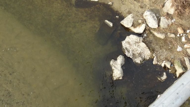 Μαύρισαν και άφρισαν τον Τιταρήσιο ποταμό