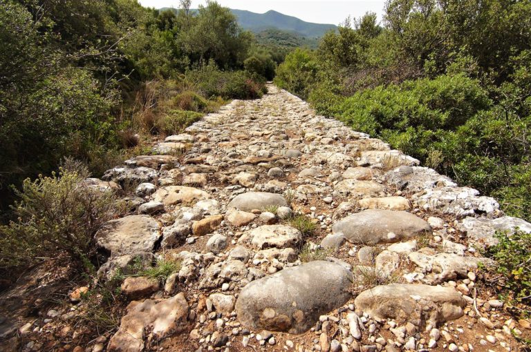 Καλαμάτα:Δράσεις και εκδηλώσεις του Συλλόγου ”Ο Ευκλής”