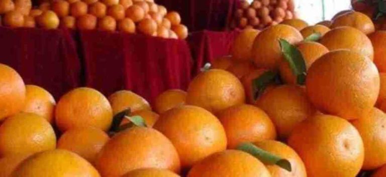 Διανομή πορτοκαλιών από το Σύλλογο Τριτέκνων Σερρών