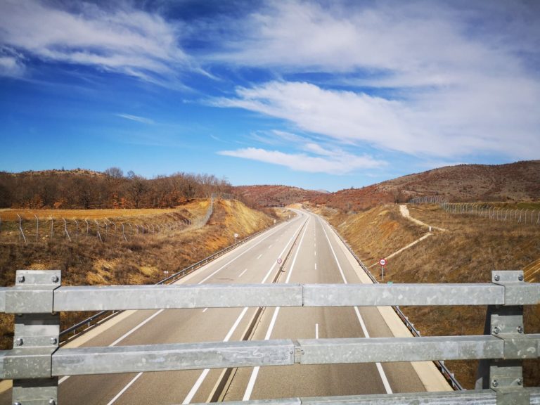 “Life Safe Crossing”: πρόληψη συγκρούσεων ζώων-οχημάτων