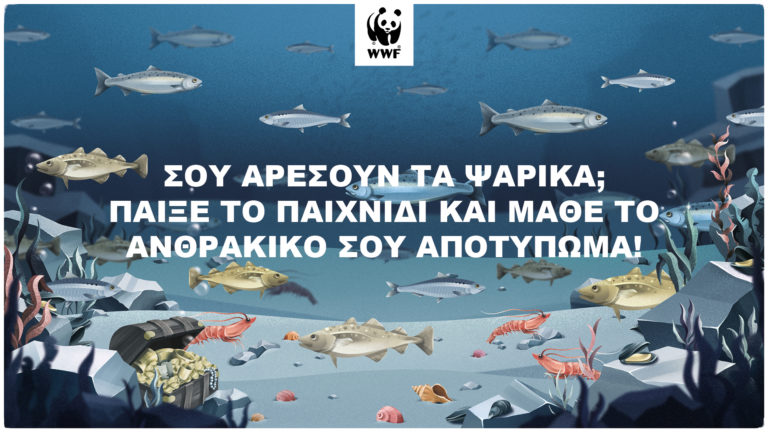 Νέο διαδικτυακό παιχνίδι του WWF