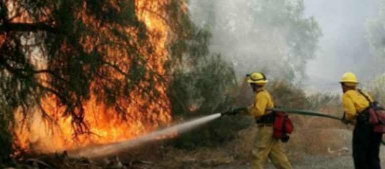 Ηράκλειο: Φωτιά σε δασική έκταση