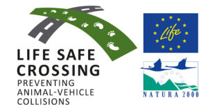 “Life Safe Crossing”: πρόληψη συγκρούσεων ζώων-οχημάτων