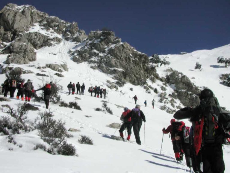O Σύλλογος Αρκάδων Ορειβατών Οικολόγων εξορμά στο Μαίναλο