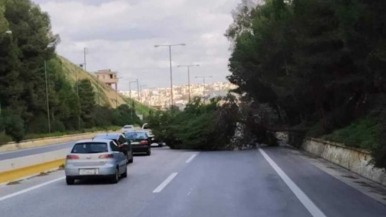 Έπεσε δέντρο στον ΒΟΑΚ