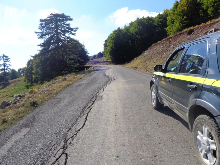 Πανελλήνια Ορειβατική Συνάντηση στη Βασιλίτσα