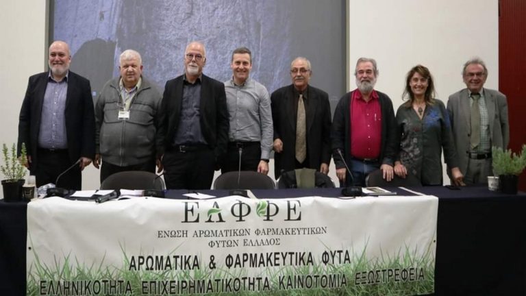 Δίκτυο πληροφοριών, Σήμα και Συμβόλαιο Συνεργασίας για τον Χρυσό που φυτρώνει στην Ελλάδα: Αρωματικά Φυτά, Μικροί καρποί δάσους