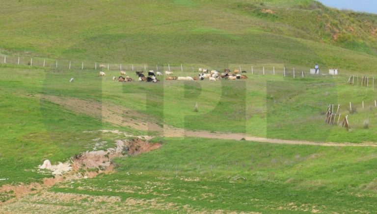 Καβάλα: Κινητοποίηση αγροτών και κτηνοτρόφων στον ΕΛΓΑ