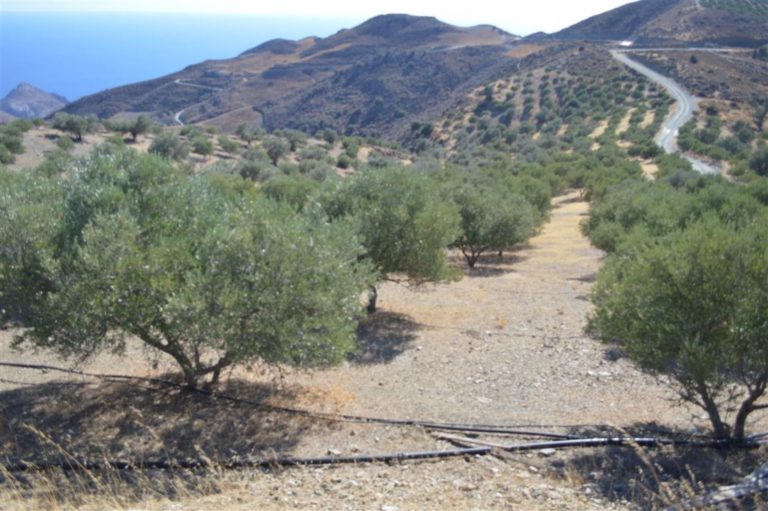 Ηράκλειο: Ξεψύχησε στο χωράφι του