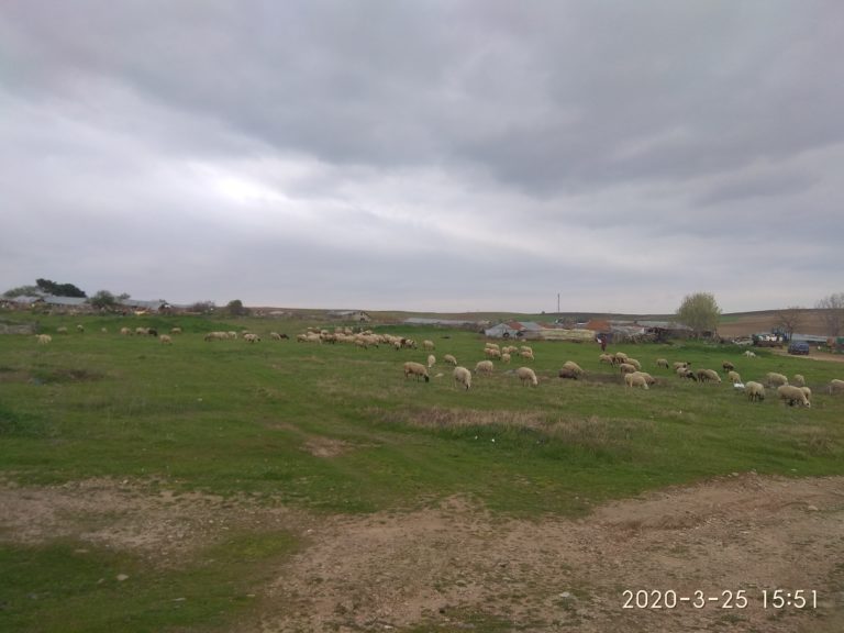 Ροδόπη: Στο Γλυκονέρι, το χωριό των κτηνοτρόφων