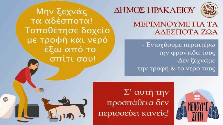 Φροντίζουν και τα αδέσποτα