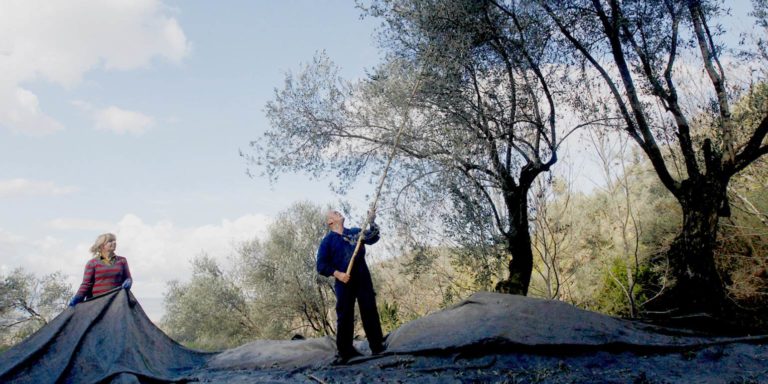 Βουλευτές ΚΚΕ:  Άμεσα μέτρα στήριξης μικρομεσαίων αγροτοκτηνοτρόφων της Κρήτης, λόγω της πανδημίας