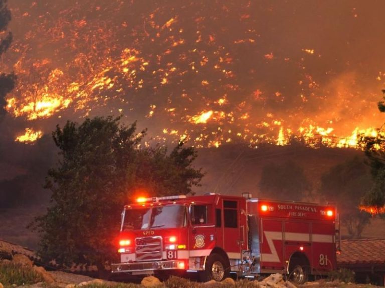 Ιεράπετρα: Πυρκαγιά σε δασική περιοχή