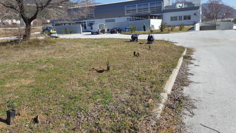 Το Δημοκρίτειο Πανεπιστήμιο Θράκης ολοκλήρωσε τη φυτοτεχνική διαμόρφωση
