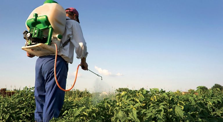 Χανιά: Αναγκαία η ορθολογική χρήση γεωργικών φαρμάκων