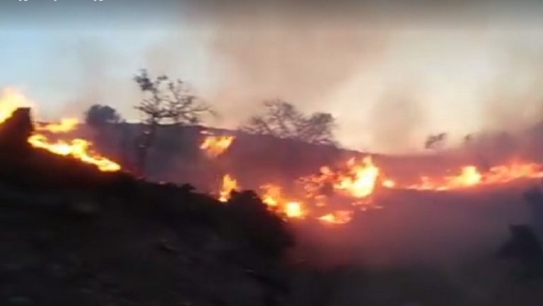 Μπαράζ αγροτοδασικών πυρκαγιών χθες στην Κρήτη