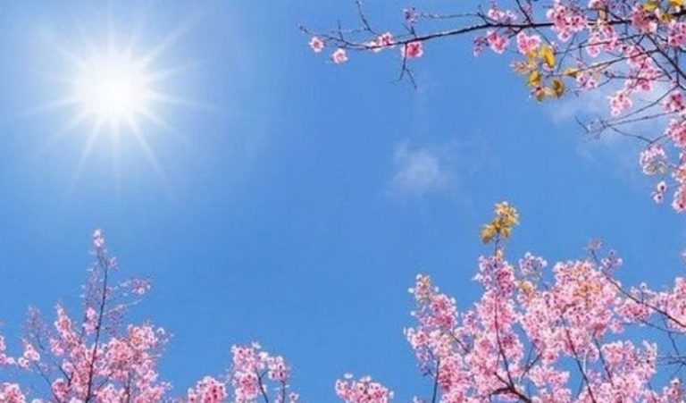 Καιρός: Ανοιξιάτικες θερμοκρασίες το Σαββατοκύριακο – Αναλυτικη πρόγνωση ανά περιοχή (video)