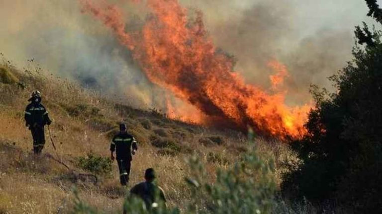 Θίνες Βαρθολομιού: Πυρκαγιά σε δασική έκταση