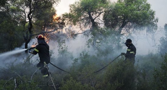 Πυρκαγιές σε όλη την Ηλεία που ευτυχώς αντιμετωπίσθηκαν