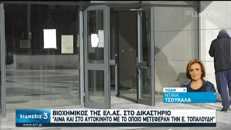Δίκη Τοπαλούδη: “Δεν είδα, δεν άκουσα τίποτε”, υποστήριξε η γιαγιά του κατηγορούμενου (video)