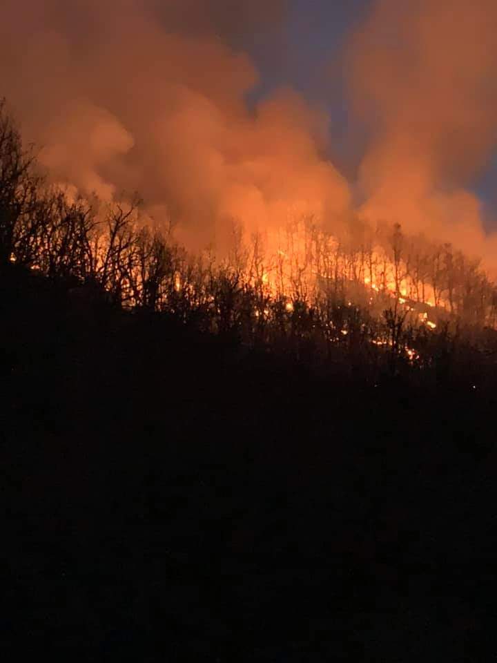Δασική έκταση καίει φωτιά στη Τ.Κ. Κώττα Πρεσπών- Σύντομα η λειτουργία πυροσβεστικού κλιμακίου