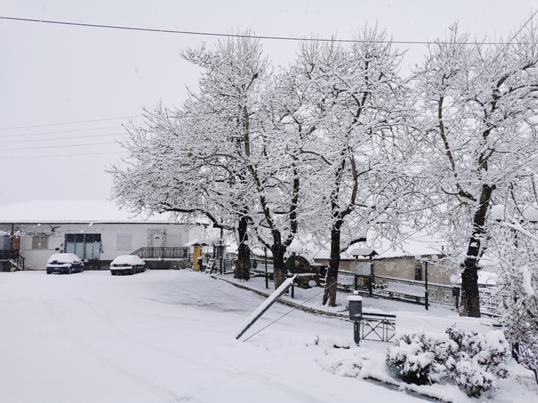 Σέρρες: Πλήρης αποκατάσταση των προβλημάτων λόγω της χιονόπτωσης
