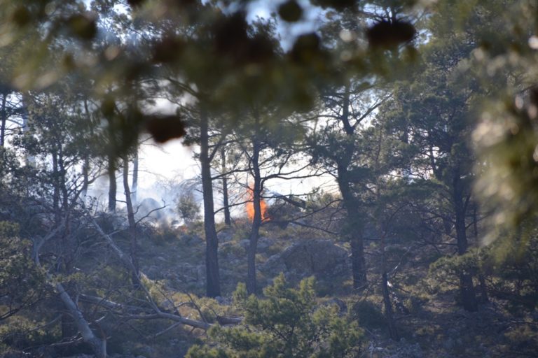 Πυρκαγιά σε δασική έκταση στην Εύβοια