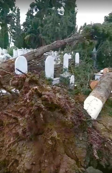 Ταυτοποιήθηκε ο δράστης που προκάλεσε φθορές στο μουσουλμανικό νεκροταφείο Πολυάνθου