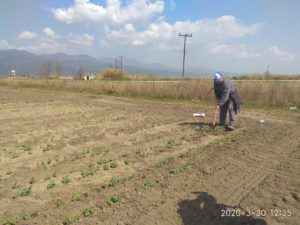 Ροδόπη: Σαράντα χρόνια στα χωράφια