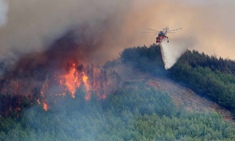 Υπό μερικό έλεγχο η πυρκαγιά σε δασική έκταση στην περιοχή Δρυμώνα Ευβοίας