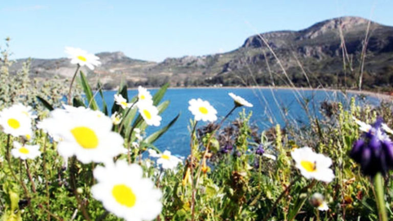 Ανοιξιάτικος την Τετάρτη ο καιρός στην Κρήτη