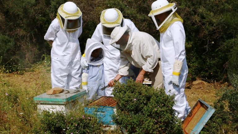 Οι στολές μελισσοκομίας στο νοσοκομείο
