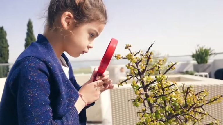 «Ταινίες από σπίτι» για το Φεστιβάλ Κινηματογράφου Θεσσαλονίκης