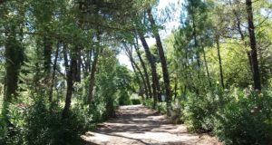 Πελοπόννησος: Σήμανση δύο μονοπατιών