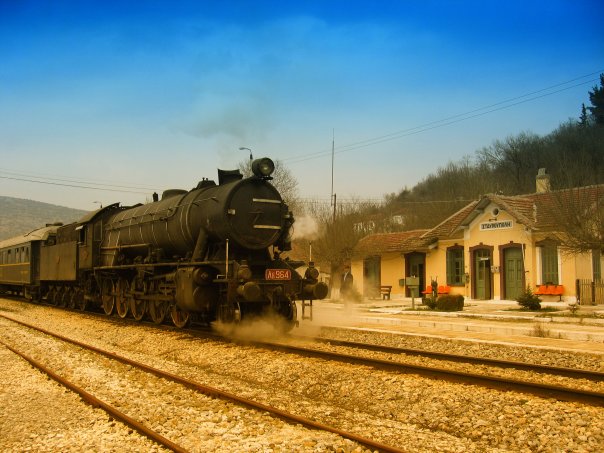 Νεκρά ζώα έχουν γεμίσει τους έρημους δρόμους της  Σταυρούπολης Ξάνθης