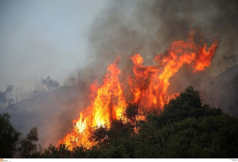 Πυρκαγιά στην Πέρσαινα  έκαψε 5 στρέμματα αγροτοδασικής έκτασης