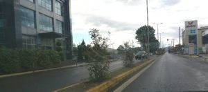 Τρίπολη: Αντικατάσταση δένδρων σε είσοδο της πόλης