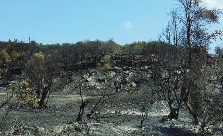 Χανιά: Συνελήφθη ο υπαίτιος της πυρκαγιάς στα Χωραφάκια Ακρωτηρίου