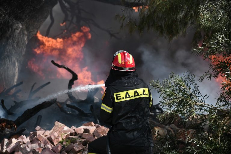 Υπό μερικό έλεγχο η φωτιά σε δασική έκταση στα Μέγαρα