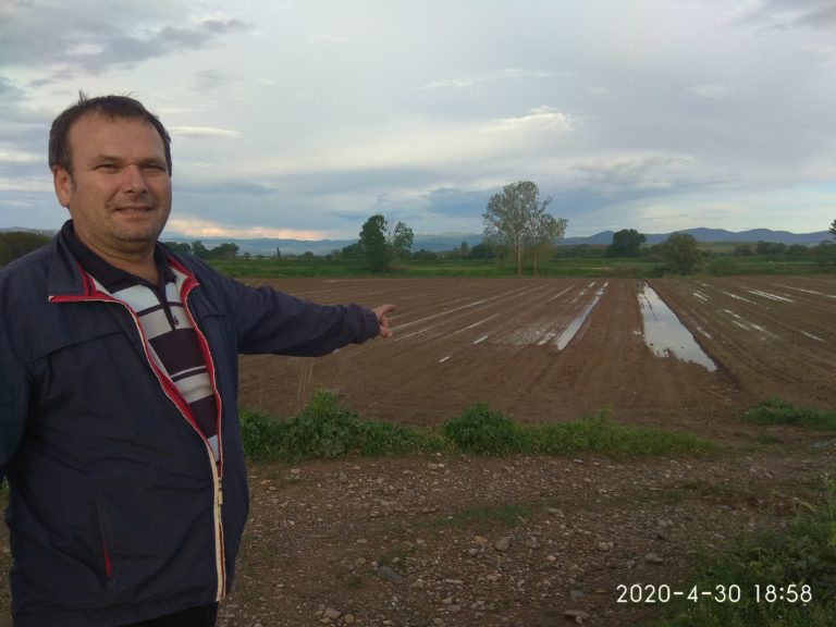 Ροδόπη: Χαλαζόπτωση κατέστρεψε καλλιέργειες στο δήμο Μαρωνείας Σαπών