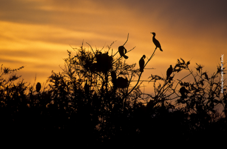 Ευρωπαϊκή Ημέρα Natura 2000 – Μια μεγάλη γιορτή για την προστασία της φύσης
