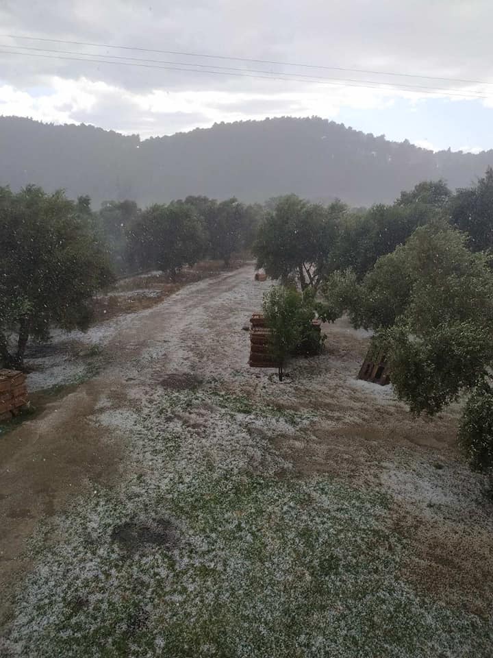 Ισχυρή χαλαζόπτωση έπληξε καλλιέργειες του Δήμου Ανδρίτσαινας-Κρεστένων