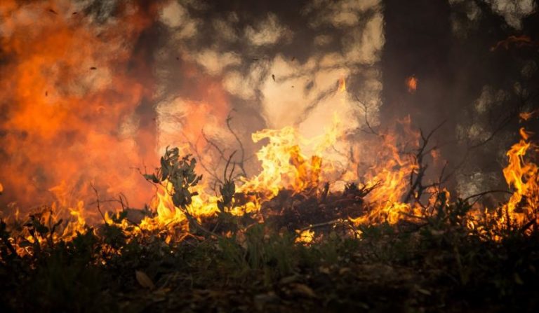 Τη συνεργασία των δημοτών ζητεί ο  Δήμος  Ρεθύμνου στη διαχείριση κινδύνου εκδήλωσης πυρκαγιάς